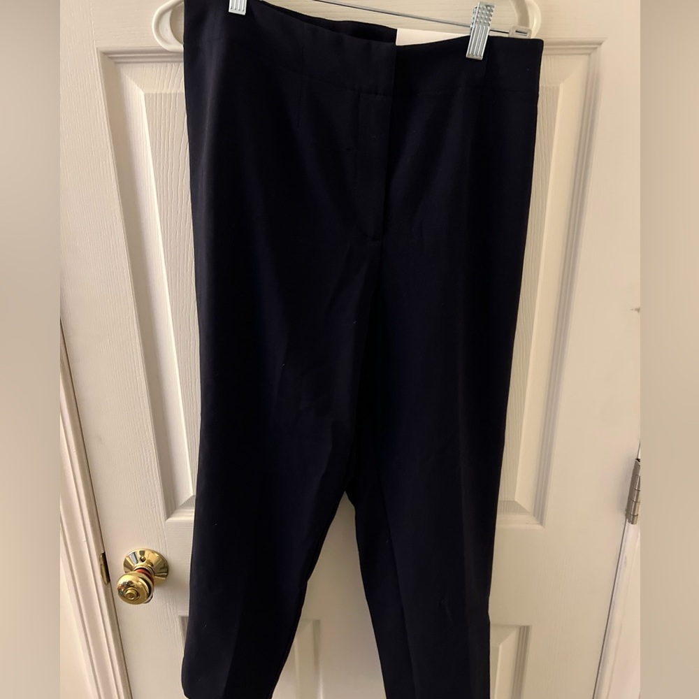 6 Petite Size - Ann Taylor The Slim In Curvy Ankle Length High Rise Pants - NWT
